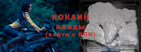 прущие крисы Надым