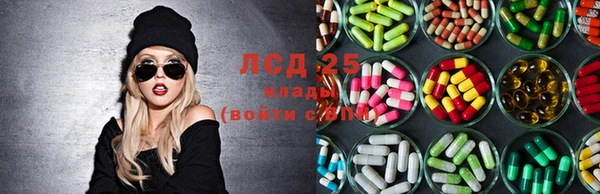 прущие крисы Надым