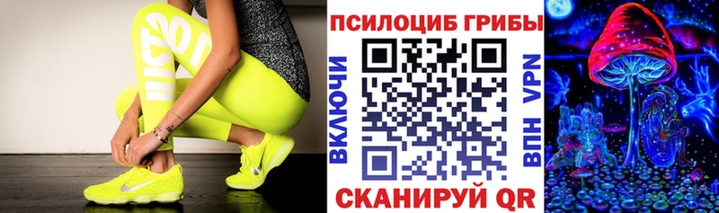 купить наркотик Данков Галлюциногенные грибы Psilocybe